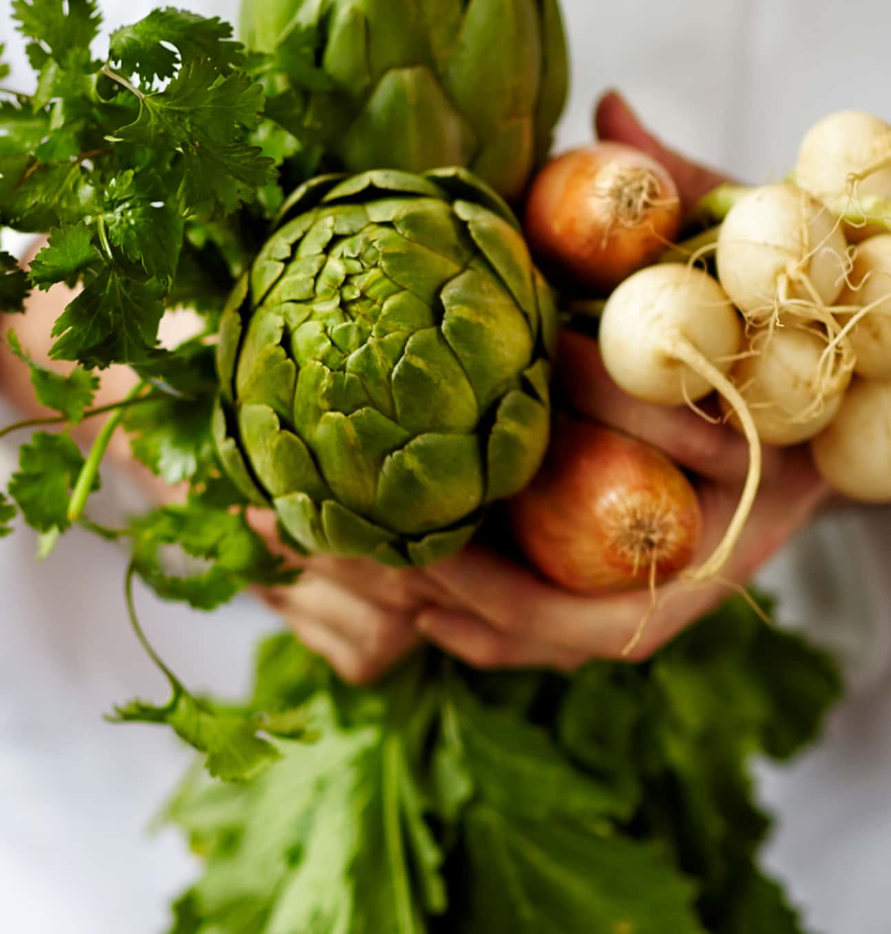 A close-up of fresh vegetables, including artichokes, onions, and herbs held in someone's hands, suggesting farm-to-table culinary freshness.