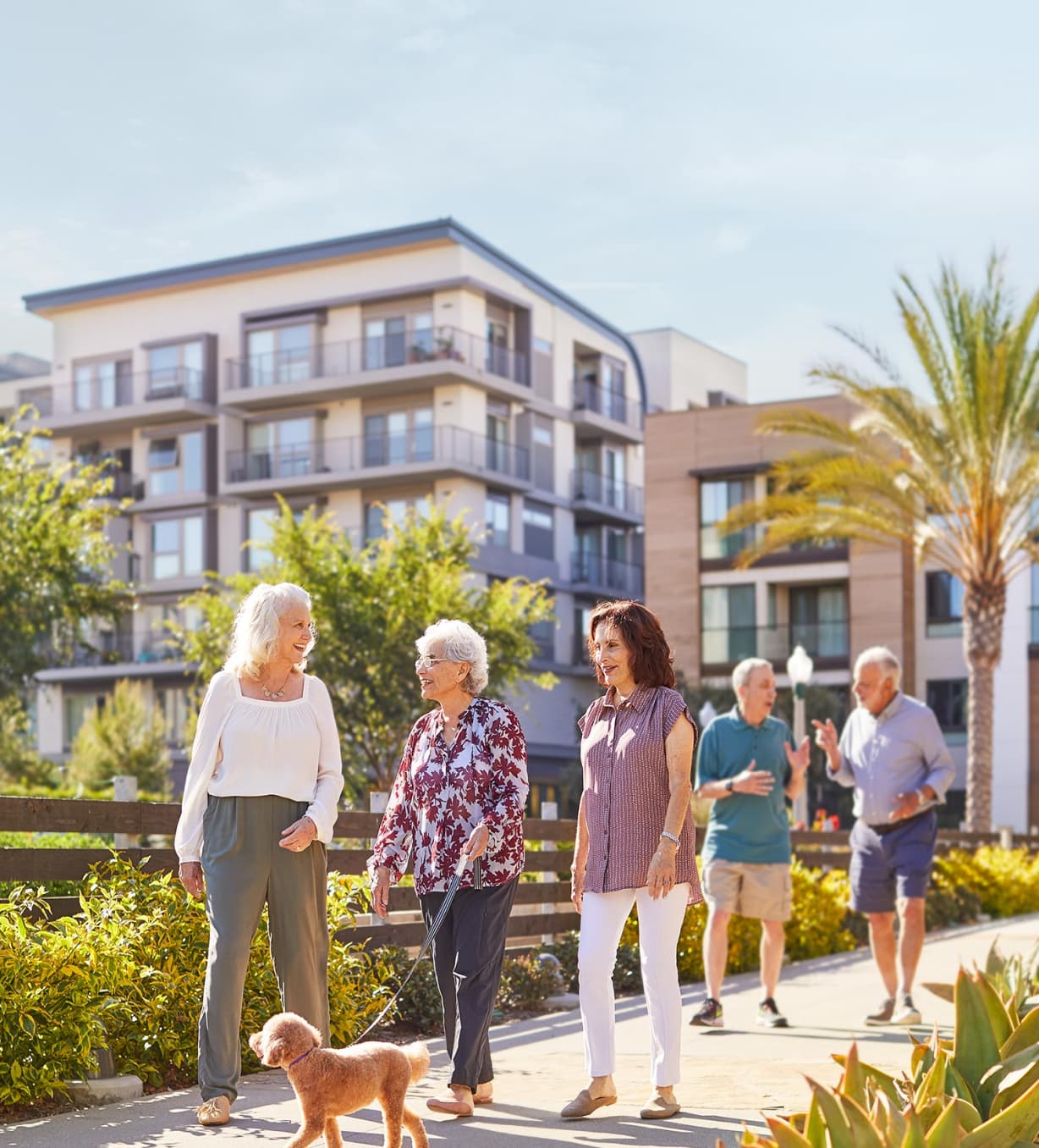 Senior adults walking and socializing in a sunny outdoor setting with modern apartment buildings in the background, indicating a vibrant retirement community.